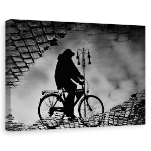 Tablou canvas - Reflex, Grafic, Bicicleta, Strada, Umbra, Pietruite, 40 x 60 cm