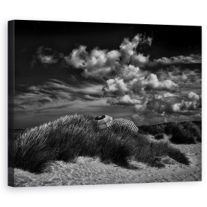Tablou canvas - Rendez-Vous Pe Litoral, Belgia, Dune, Umbrele, 60 x 75 cm