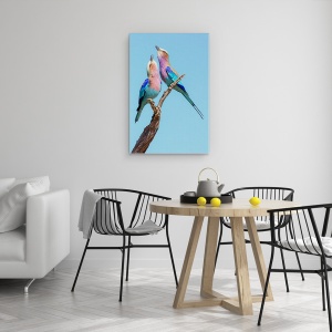 Tablou canvas - Rolele De Flirt, Role, Pereche, Cuplu, Pasare, 60 x 90 cm - Img 4