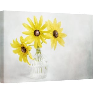 Tablou canvas - Rudbeckia, Rudbeckia, Vara, Galben, Planta, Gradina, Floare, 80 x 120 cm