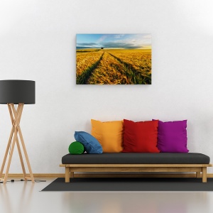 Tablou canvas - Rural, Camp, Peisaj, Copac, Singuratic, Batut De Vant, 60 x 90 cm - Img 2