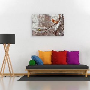 Tablou canvas - Salut, Veverita, Intalnire, Conexiune, Interactiune, Dragut, 40 x 60 cm - Img 2