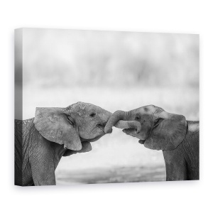 Tablou canvas - Salutari, Elefant, Salbatic, Natura, Animale, Africa, 60 x 80 cm
