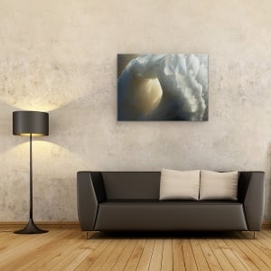 Tablou canvas - Sanctuar, Lebada, Pana, Pene, Moale, Animal, 75 x 100 cm - Img 2