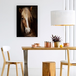 Tablou Canvas - Sapience, Haflinger, Cal, Ferma, Montpellier, Animale, 80 x 120 cm - Img 4