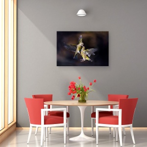 Tablou canvas - Sarut Din Zbor, Natura, Pasare, Zbor, Sarut, 60 x 90 cm - Img 4