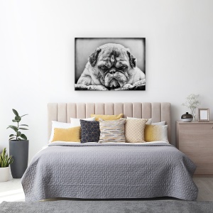Tablou Canvas - Seful, Animal, Alb-Negru, Bulldog, Caine, 75 x 100 cm - Img 3
