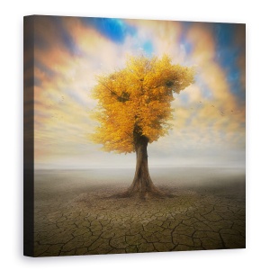Tablou canvas - Singuratic, Copac, 60 x 60 cm