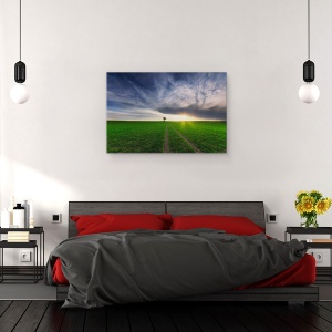 Tablou canvas - Singuratic In Soare, Soare, Verde, Campuri, Gol, 40 x 60 cm - Img 3