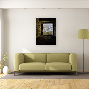 Tablou canvas - Speranta, Panza De Paianjen, Castel, Vara, Web, 60 x 80 cm - Img 2