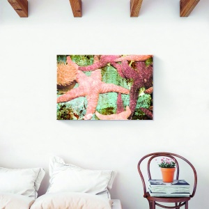 tablou canvas stea de mare ocean 60x90 cm