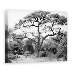 Tablou canvas - Sub Salcam, Salbatic, Natura, Animal, 75 x 100 cm