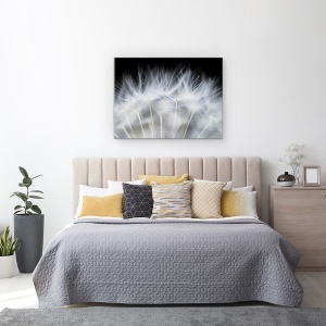 Tablou canvas - Sufla, Smoc Pufos, Papadie, Macro, Pana, 75 x 100 cm - Img 3