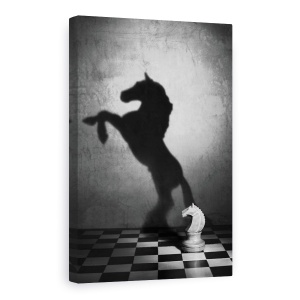Tablou Canvas - Sufletul Unui Mustang, Mustang, Cal, sah, Umbra, Alb-Negru, 80 x 120 cm