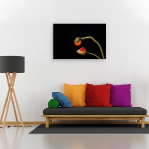 Tablou canvas - Tango Argentinian, Natura Moarta, Silueta, Vara, Floare, Macro, 40 x 60 cm - Img 2