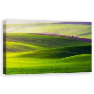 Tablou Canvas - Teren Verde, Domenii, Vara, Peisaj, Moravia, Verde, Luxurianta, 50 x 100 cm