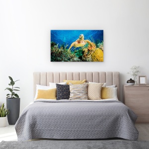 Tablou canvas - testoasa Hawksbill Inotand Prin Reciful Din Caraibe, Broasca Testoasa, Ocean, Scufundare, Caraibe, 50 x 80 cm - Img 3