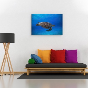 Tablou canvas - Testoasa Verde In Albastru, Chelonia, Myda, Sub Apa, 40 x 60 cm - Img 2