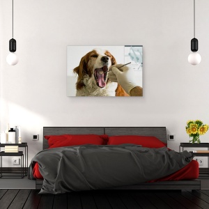 Tablou canvas - Timpuri Moderne, Caine, Dentist, Umor, Umor, Animal, 40 x 60 cm - Img 3