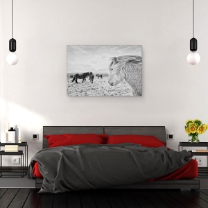 Tablou canvas - Tipi Duri, Cai, Iarna, Zapada, Islanda, Cal, 40 x 60 cm - Img 3