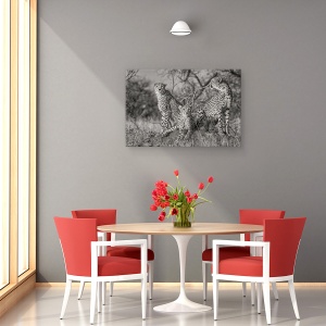 Tablou canvas - Trei Pisici, Natura, Salbatic, Animal, Ghepard, 60 x 90 cm - Img 4