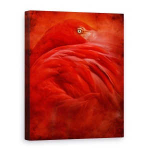 Tablou canvas - Tropicale, Flamingo, Roz, Pasari, Rosu, Animal, 60 x 80 cm