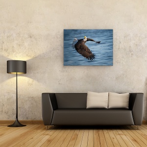 Tablou canvas - Uita-Te La Mine, Mississippi, Rau, Illinois, Vultur Alb, 60 x 80 cm - Img 2