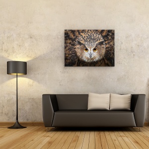 Tablou canvas - Umfla, Bufnita Vultur, Ochi, Salbatic, Natura, 75 x 100 cm - Img 2