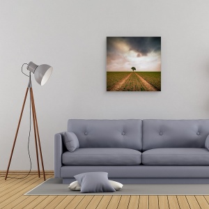 Tablou canvas - Un Copac, Singuratic, Piese, Drum, 60 x 60 cm - Img 2