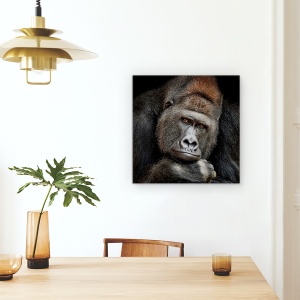 Tablou Canvas - Un Moment In Contact, Gorila, Animale, 60 x 60 cm - Img 4