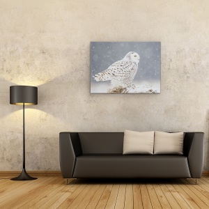 Tablou canvas - Un Portret De Bufnita De Zapada, Alb, 50 x 70 cm - Img 2