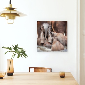 Tablou canvas - Victor Cel Mandru Sau Stralucirea Invingatorului, Animale, Elefant, Baie, Scaldat, 60 x 60 cm - Img 4