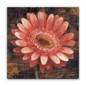 Tablou Canvas - Vintage, Gerbera, Floral, Roz, 60 x 60 cm