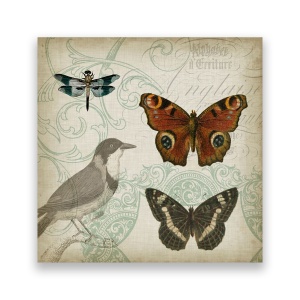 Tablou Canvas - Vintage, Pasari, Fluture, Libelula, 60 x 60 cm