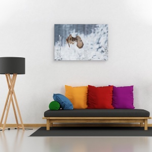 Tablou canvas - Vultur-Bufnita, Pasare, Natura, Salbatic, 60 x 90 cm - Img 2