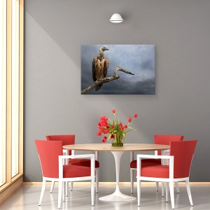Tablou canvas - Vulturul, Africa, Aviara, Pasare, Pelerina, Natura, 60 x 90 cm - Img 4