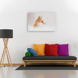 Tablou canvas - Zapada Cade, Kamceatka, Iarna, Vulpe, Animale, Natura, 60 x 90 cm - Img 2