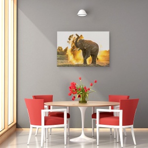 Tablou canvas - Zi Fierbinte, Elefanti, Praf, Fum, Animal, 40 x 60 cm - Img 4