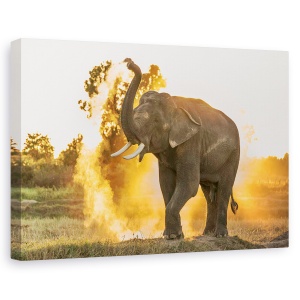 Tablou canvas - Zi Fierbinte, Elefanti, Praf, Fum, Animal, 80 x 120 cm