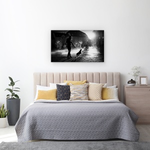 Tablou canvas - Zi Fierbinte, Strada, Caine, Pet, Soare, Lumina, 50 x 80 cm - Img 3
