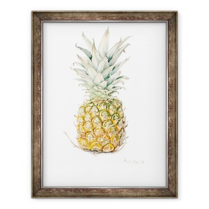 Tablou inramat - Alison Cooper - Coapte ananas, acuarela, 70 x 90 cm