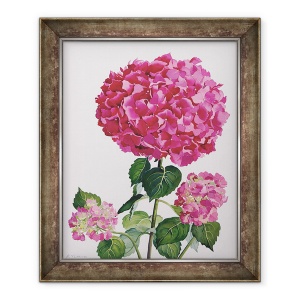 Tablou inramat - Christopher Ryland - Hydrangea, 50 x 60 cm