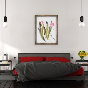 Tablou inramat - Claudia Hutchins-Puechavy - Lalele, 60 x 80 cm - Img 3