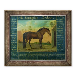 Tablou inramat - D. Quigley - Godolphin Arabian, 70 x 85 cm