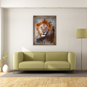 Tablou inramat - Eric Meyer - Leu, Ol Pejeta, 2017, 60 x 80 cm - Img 2