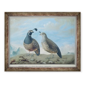 Tablou inramat - J.R Prevost - Barbat si Femeie Partridge californian, 60 x 80 cm
