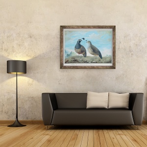 Tablou inramat - J.R Prevost - Barbat si Femeie Partridge californian, 60 x 80 cm - Img 2