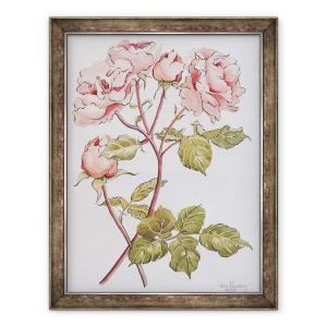 Tablou inramat - Joan Thewsey - Trandafiri, Abraham Darby, 2012, 70 x 90 cm