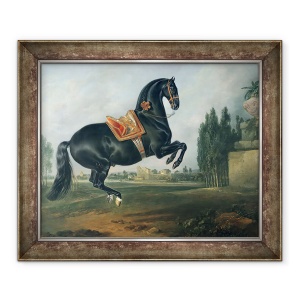 Tablou inramat - Johann Georg Hamilton - Un cal negru care interpreteaza Courbette ulei pe panza, 70 x 85 cm