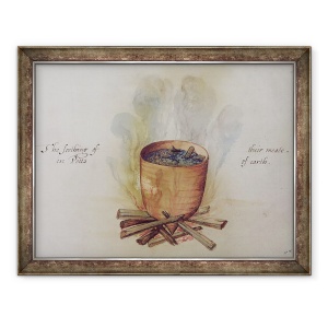 Tablou inramat - John White - Gatitul intr-o oala, 60 x 80 cm